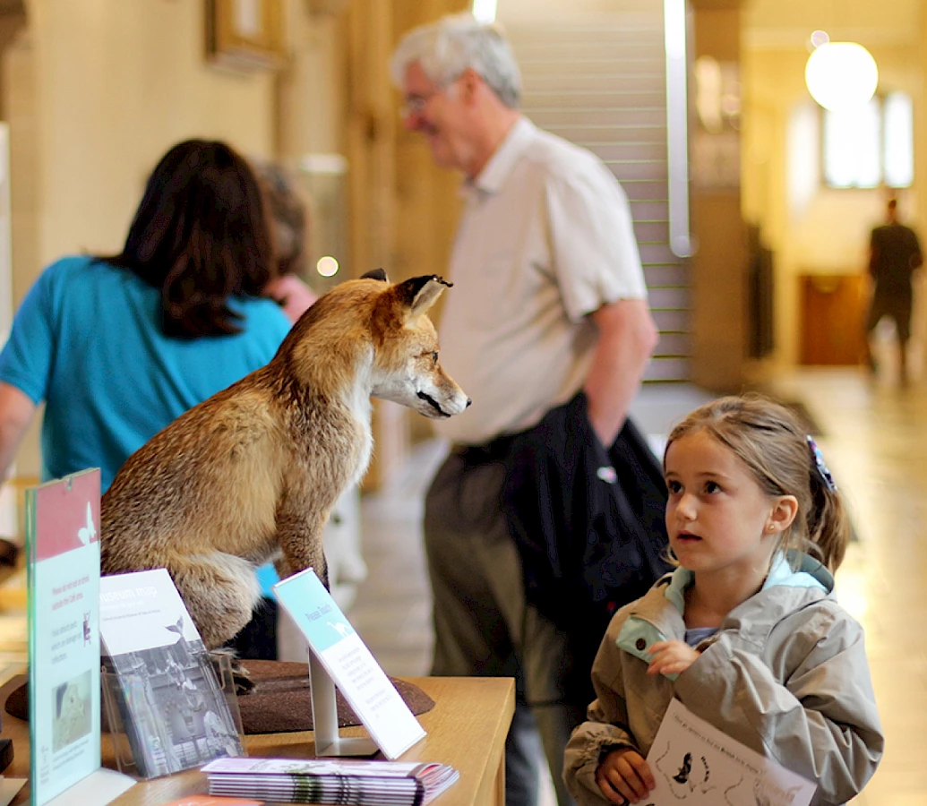 A young visitor encounters