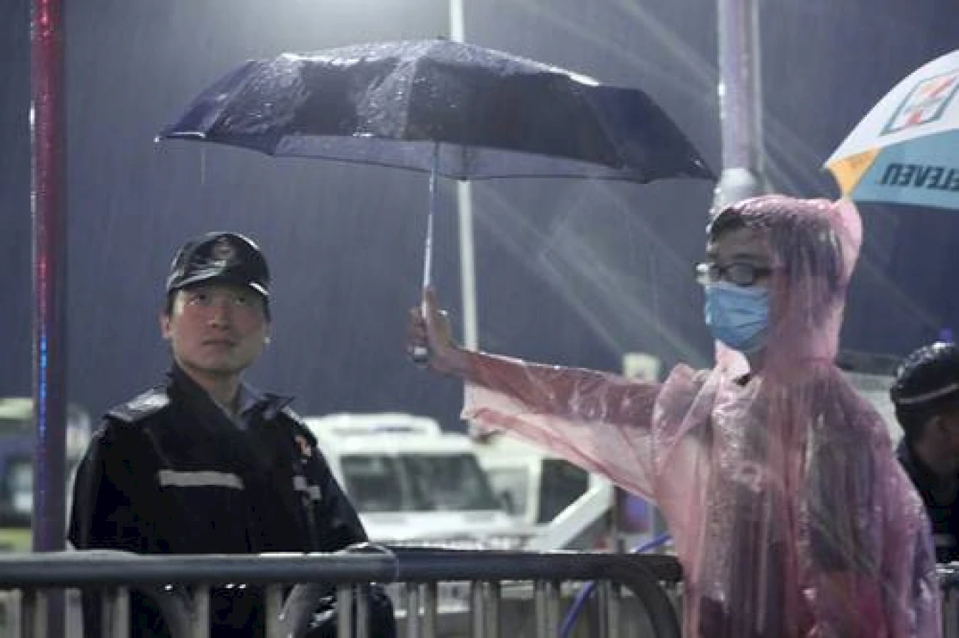 Umbrella