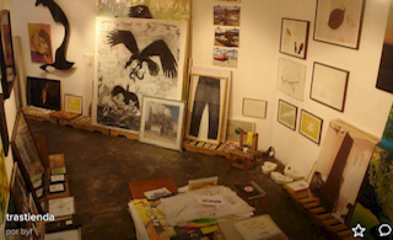 Fig 2. Image Of Belleza Y Felicidad Gallery, Buenos Aires, 1999 2007, Courtesy Of Fernanda Laguna And Cecilia Pavón.img 5488